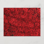 Rote Rose Herzklappen Save the Date Umschließungsk Begleitkarte (Rückseite)