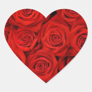 ROTE ROSE-HERZSTICKER UND UMSCHLAG AUFKLEBER