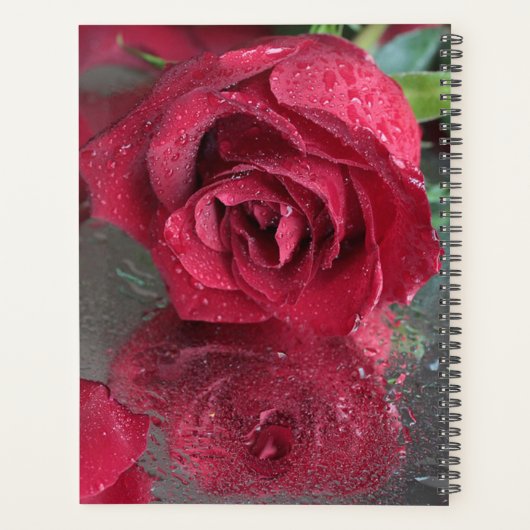 Rote Rose Hochzeit Planer (Rückseite)