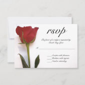 Rote Rose Hochzeit RSVP (Vorderseite)