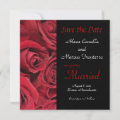 Rote Rose Hochzeit Sichern Sie die Datumsankündigu Save The Date (Vorderseite)
