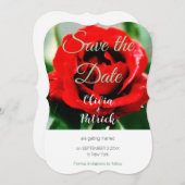Rote Rose Hochzeitssache Datum speichern Einladung (Vorne/Hinten)