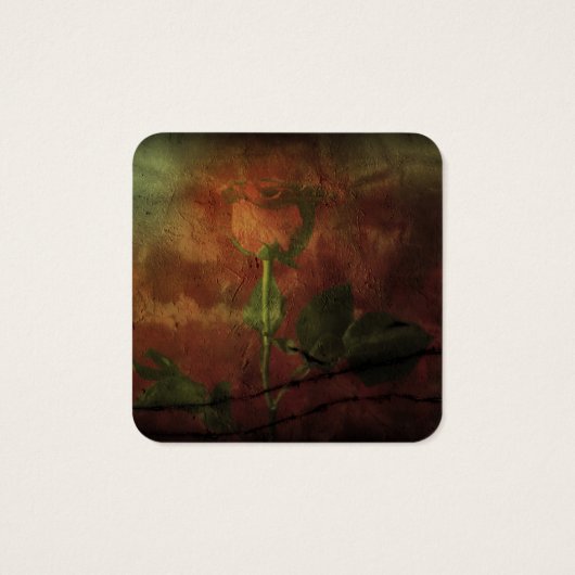 Rote Rose im Hintergrund (Rückseite)