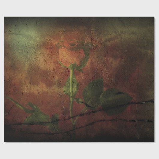 Rote Rose im Hintergrund Geschenkpapier (Flach)