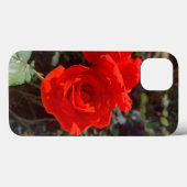 Rote Rose iPhone 13 Fall Case-Mate iPhone Hülle (Rückseite (Horizontal))