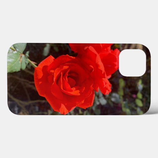 Rote Rose iPhone 13 Fall Case-Mate iPhone Hülle (Rückseite (Horizontal))