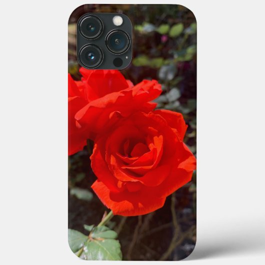 Rote Rose iPhone 13 Pro Max Fall Case-Mate iPhone Hülle (Rückseite)