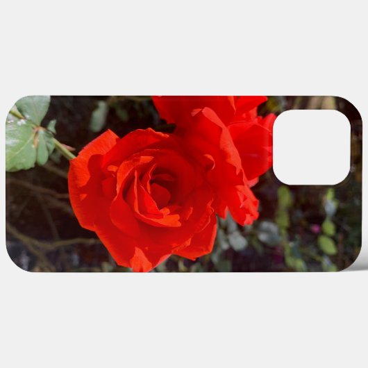 Rote Rose iPhone 13 Pro Max Fall Case-Mate iPhone Hülle (Rückseite (Horizontal))