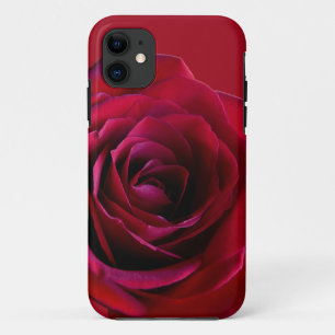 Rote Rose iPhone 5 Fall Classic Rose iPhone Fälle 11 Hülle