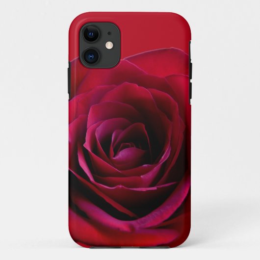 Rote Rose iPhone 5 Fall Rose iPhone Fälle Case-Mate iPhone Hülle (Rückseite)