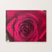 rote Rose Jigsaw Puzzle (Horizontal)