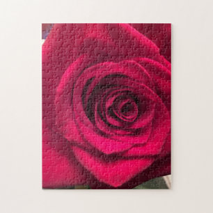 rote Rose Jigsaw Puzzle