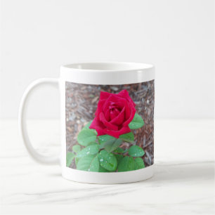 Rote Rose Kaffeetasse