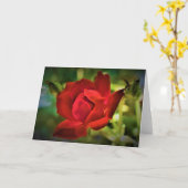 Rote Rose, Karte (Gelbe Blume)