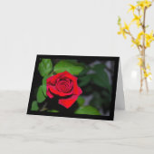 Rote Rose Karte (Gelbe Blume)
