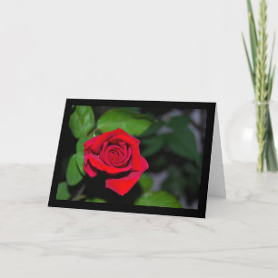 Rote Rose Karte