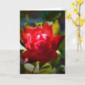 Rote Rose, Karte (Gelbe Blume)