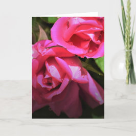 Rote Rose, Karte