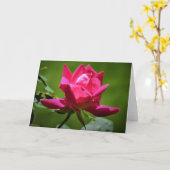 Rote Rose, Karte (Gelbe Blume)