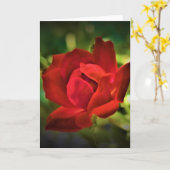 Rote Rose, Karte (Gelbe Blume)