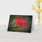 Rote Rose, Karte (Gelbe Blume)
