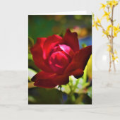 Rote Rose, Karte (Gelbe Blume)