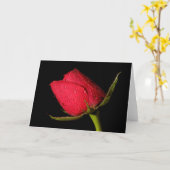 Rote Rose Karte (Gelbe Blume)