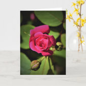 Rote Rose, Karte (Gelbe Blume)