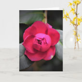 Rote Rose, Karte (Gelbe Blume)