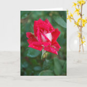 Rote Rose Karte (Gelbe Blume)