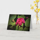 Rote Rose, Karte (Gelbe Blume)