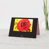 Rote Rose Karte (Rückseite)