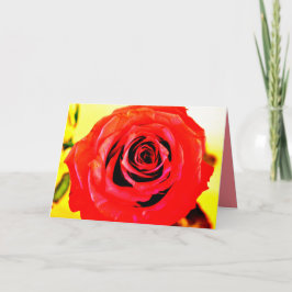 Rote Rose Karte