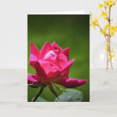 Rote Rose, Karte (Gelbe Blume)