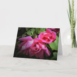 Rote Rose, Karte
