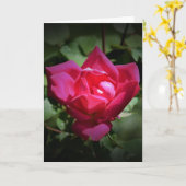 Rote Rose, Karte (Gelbe Blume)