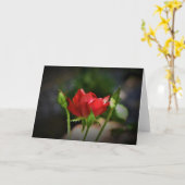 Rote Rose, Karte (Gelbe Blume)