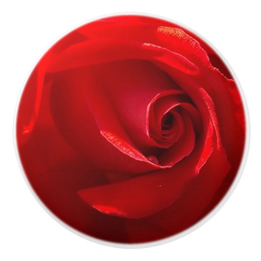 Rote Rose Keramik Pull Keramikknauf (Vorderseite)