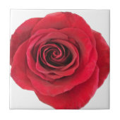 Rote Rose Keramik Tile Fliese (Vorderseite)