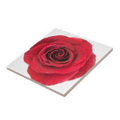 Rote Rose Keramik Tile Fliese (Seite)