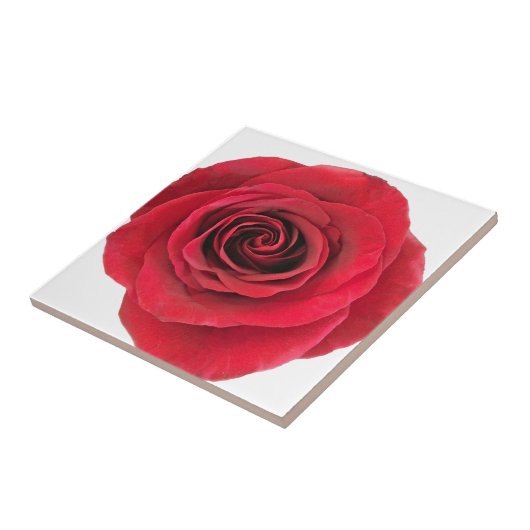 Rote Rose Keramik Tile Fliese (Seite)