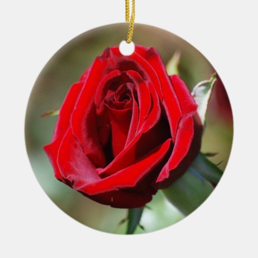 Rote Rose Keramikornament (Vorne)