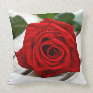 Rote Rose Kissen