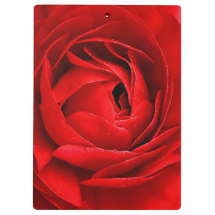 ROTE ROSE KLEMMBRETT
