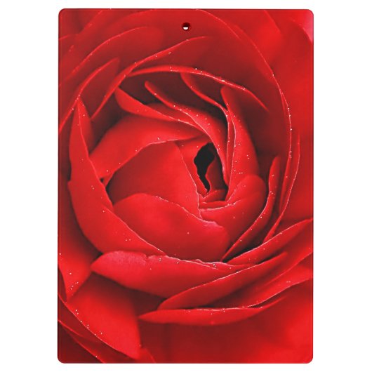 ROTE ROSE KLEMMBRETT (Rückseite)