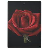 Rote Rose Klemmbrett (Rückseite)