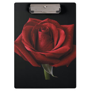 Rote Rose Klemmbrett