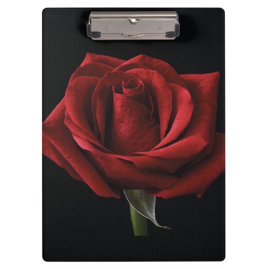 Rote Rose Klemmbrett (Vorderseite)