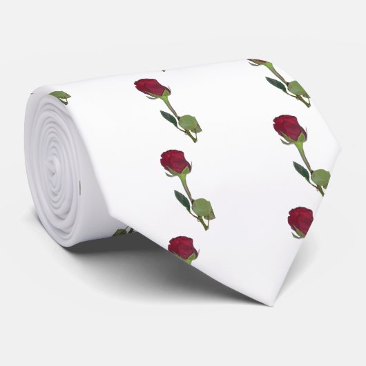 Rote Rose Krawatte (Gerollt)