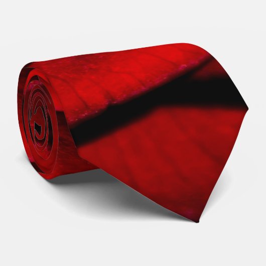 Rote Rose Krawatte (Gerollt)